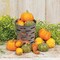 Faux Pumpkins and Gourds Decorative Set of 16 for Autumn Centerpieces and Holiday Displays
